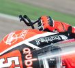 SPIDER Brake Lever Guard | Protector EVO