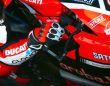 SPIDER Brake Lever Guard | Protector EVO