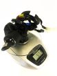Yamaha YZF-R6 2006-2025 Jetprime Ignition Kill Switch - BLACK