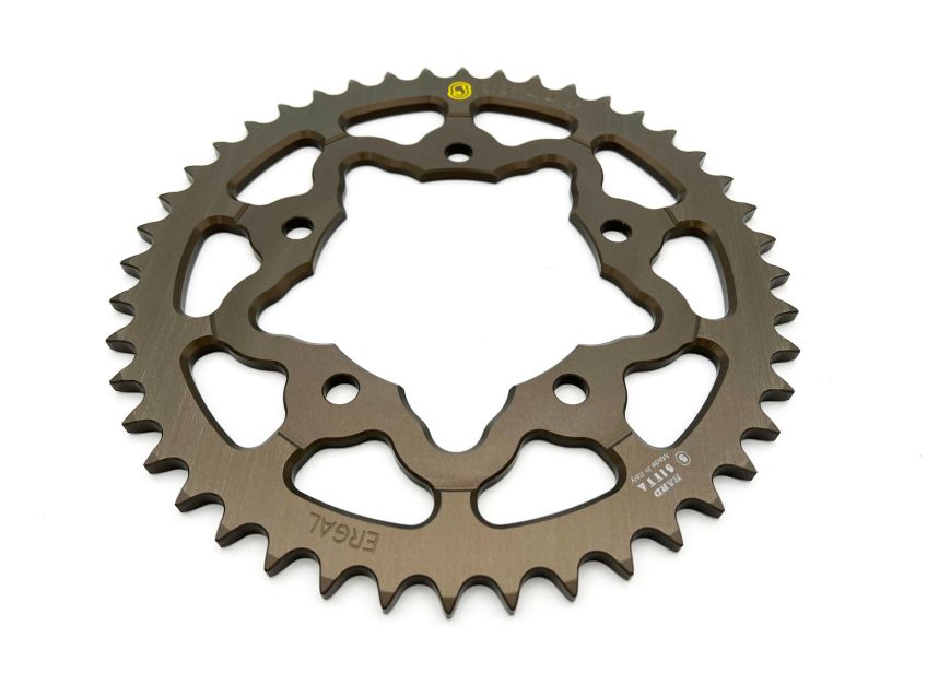 Aprilia RSV4 | TUONO 1100 - 1000 SITTA Rear Sprocket