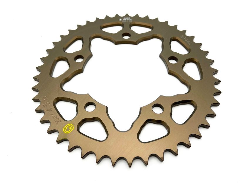 BMW S1000RR 2009-2018 Cast Wheels SITTA Rear Sprocket - 525 Pitch
