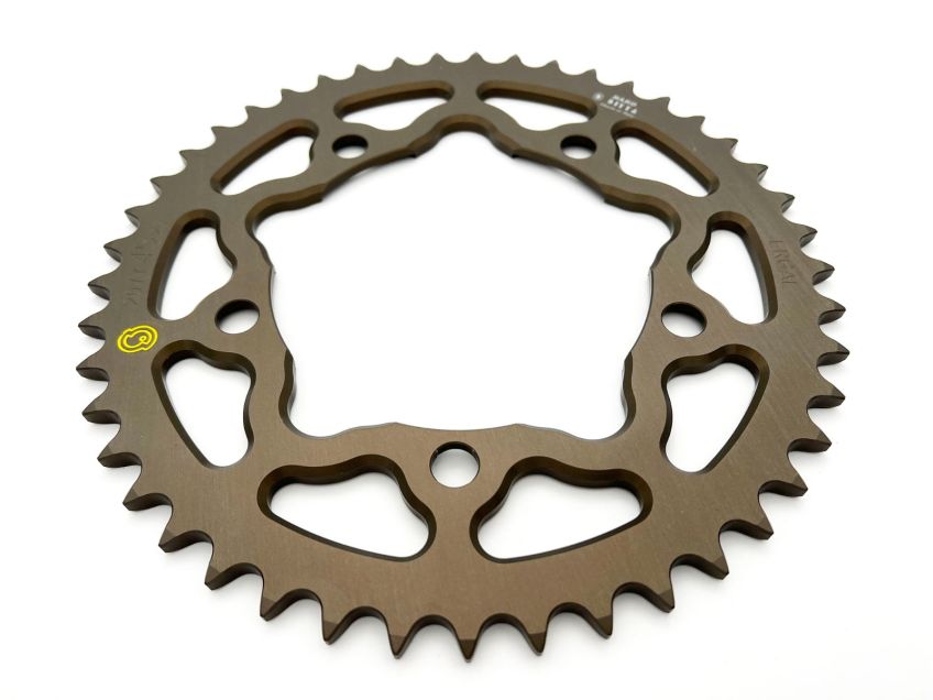 BMW S1000RR 2019-2022 SITTA Rear Sprocket