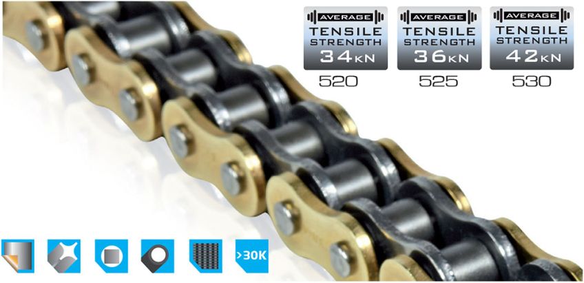 Tsubaki 520 Alpha X-Ring Gold Chain